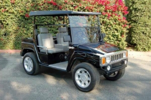 affordable golf cart rental, golf cart rent jersey city